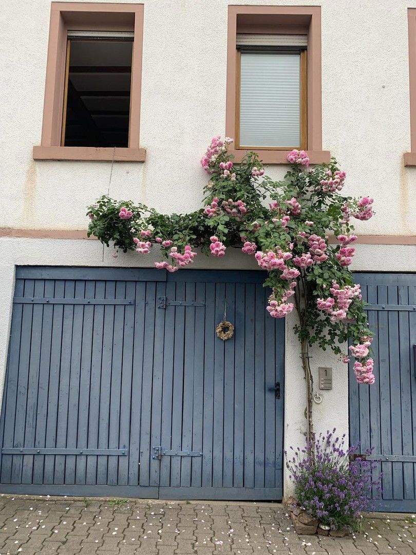 Thumbnail-Haus mit zwei Wohneinheiten und einem separaten großen Garten