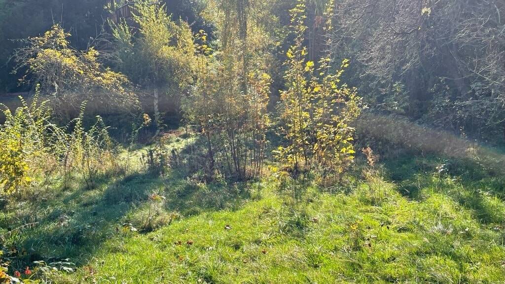 Thumbnail-Ihr Wohntraum beginnt hier!