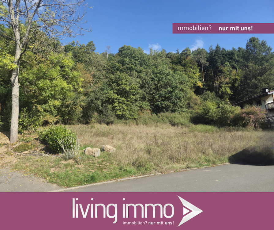 Thumbnail-Großes Baugrundstück in Eckelshausen mit Baumbestand