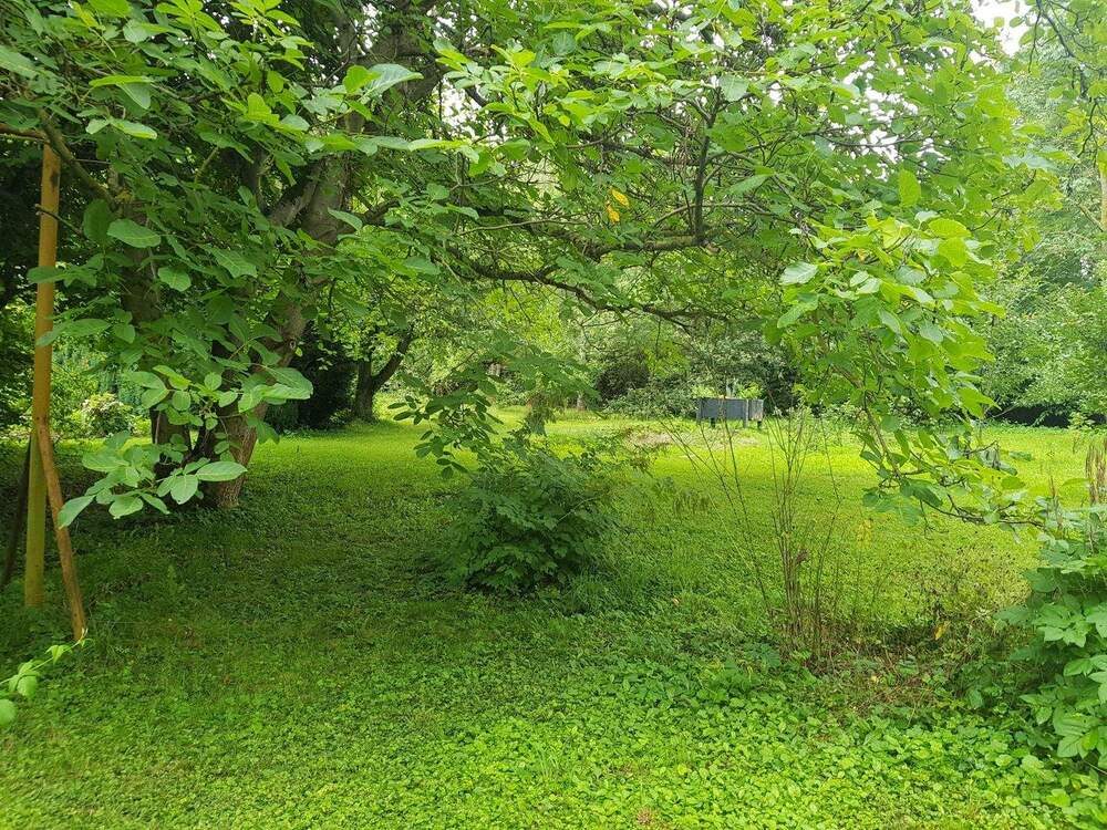 Thumbnail-Traumhaftes und weitläufiges Wochenendgrundstück in Erfurt, Steigerwald