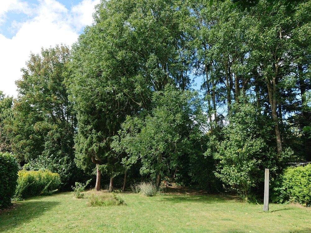 Thumbnail-Bauplatz für ein Einfamilienhaus + Bestandsgebäude (Wohnhaus mit 3 Einheiten) in Itzehoe
