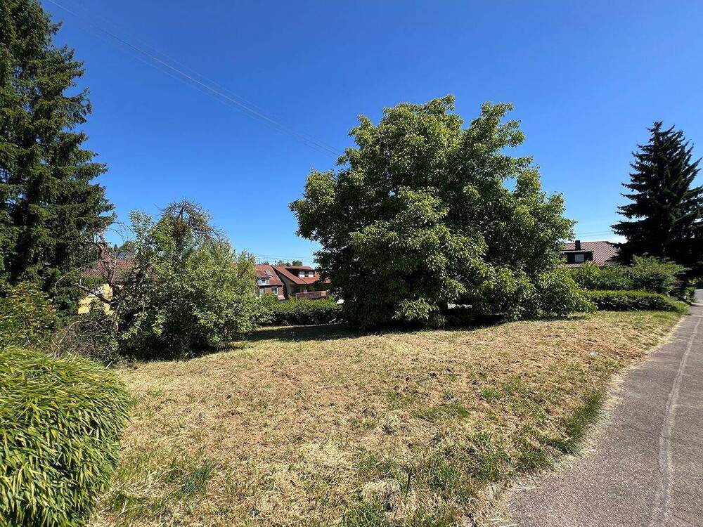 Thumbnail-Mitten in Backnang 