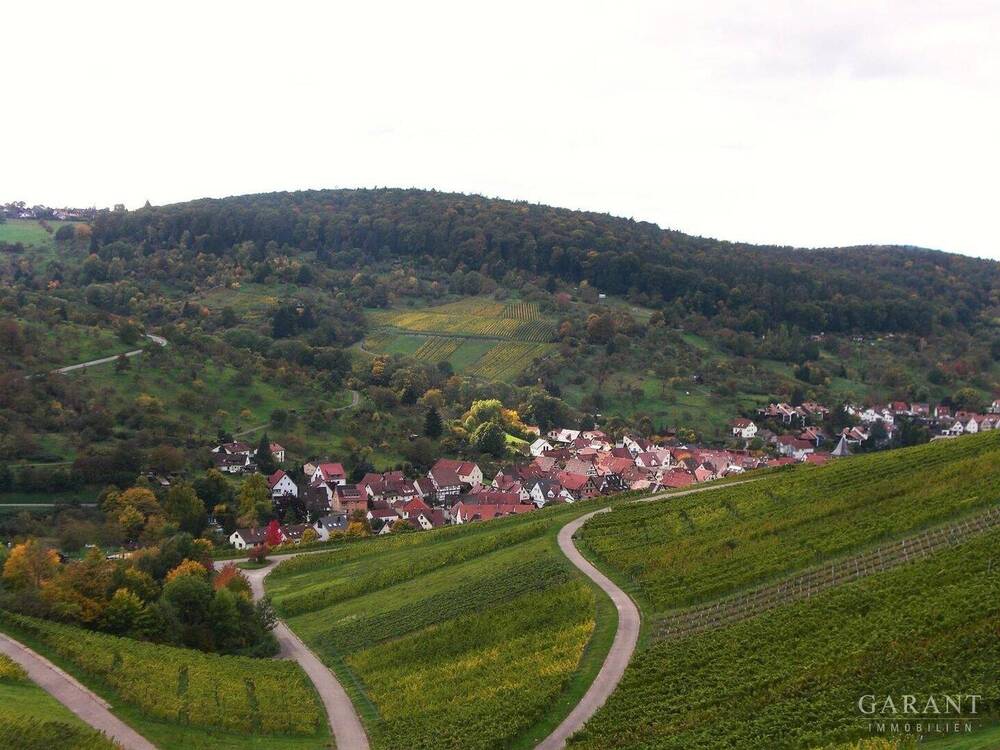 Thumbnail-Idyllisches Wohnen, umgeben von Weinbergen und Obstbaumwiesen.