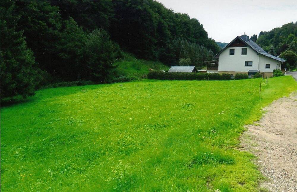 Thumbnail-Waldwiesengrundstück am Ebertsbach in Kleinschmalkalden