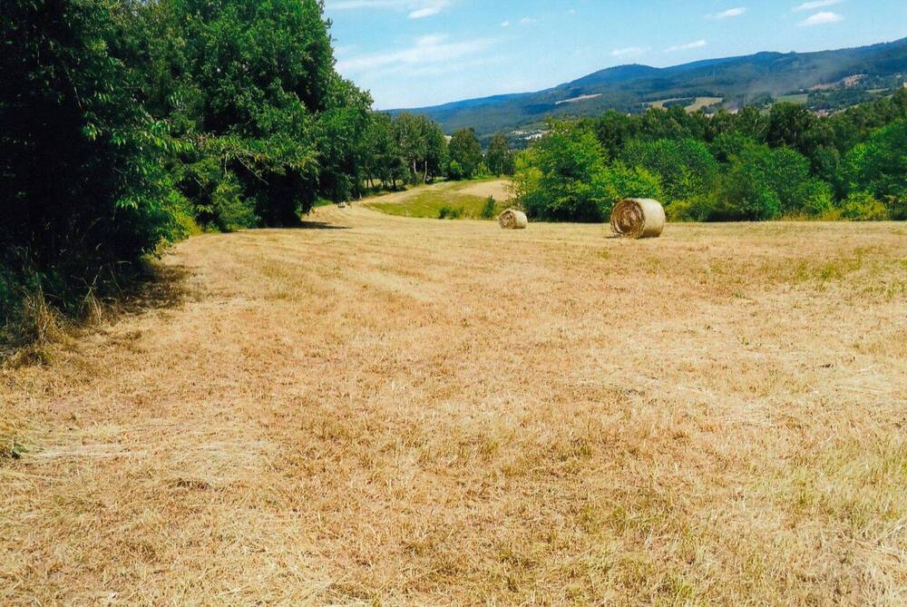 Thumbnail-Waldwiesengrundstück in Viernau auf dem Fußberg