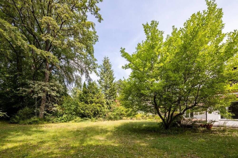 Thumbnail-GRÜN I Herrliches Grundstück mit Altbestand