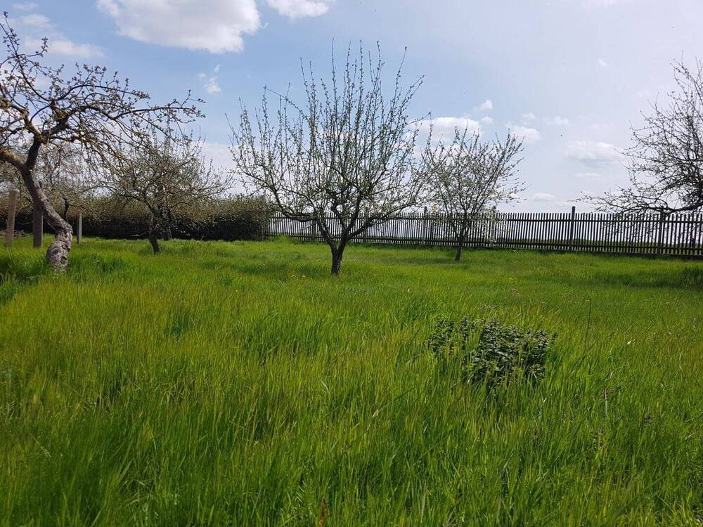 Thumbnail-Hochwertiges, Kernsaniertes Einfamilienhaus mit Fußbodenheizung und Einliegerwohnung in Gotha, OT