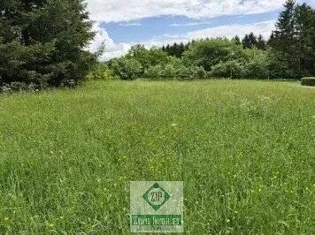 Thumbnail-Baugrundstück mit 1820 m² in Weinsfeld-Prüm