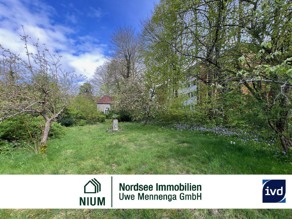 Bild1