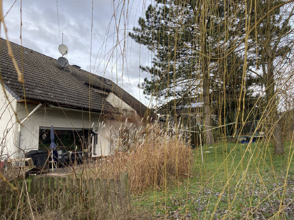 Bild1