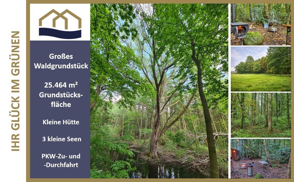 Thumbnail-Über 2 ha Mischwald mit 3 kleinen Seen bei Rastede - Freizeitparadies zum entschleunigen