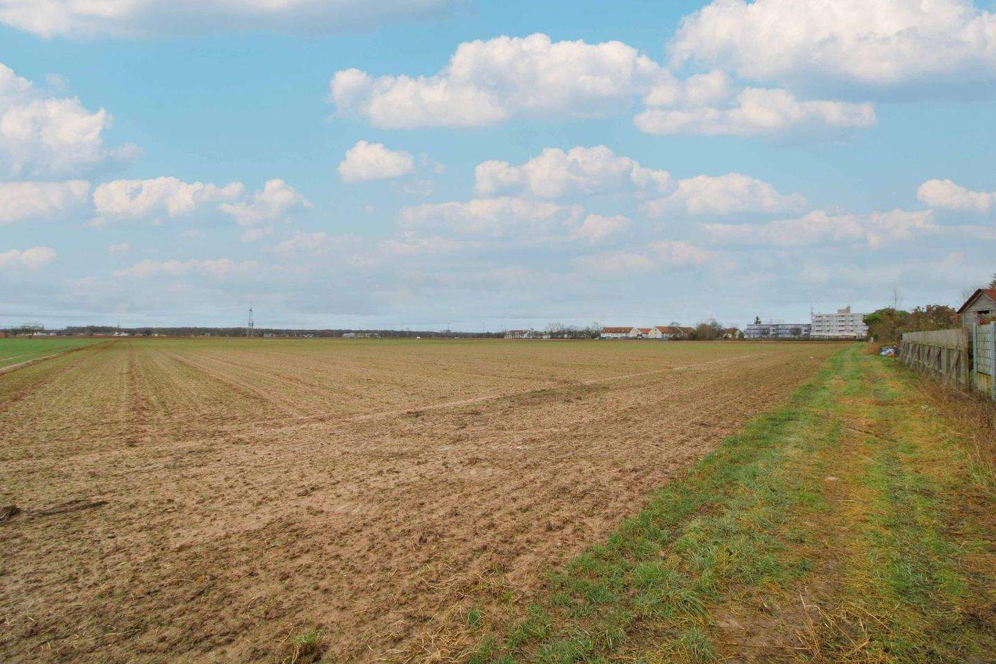 Thumbnail-Investitionschance: Großes Bauerwartungsland in Kandel mit ca. 27.743 m² Fläche