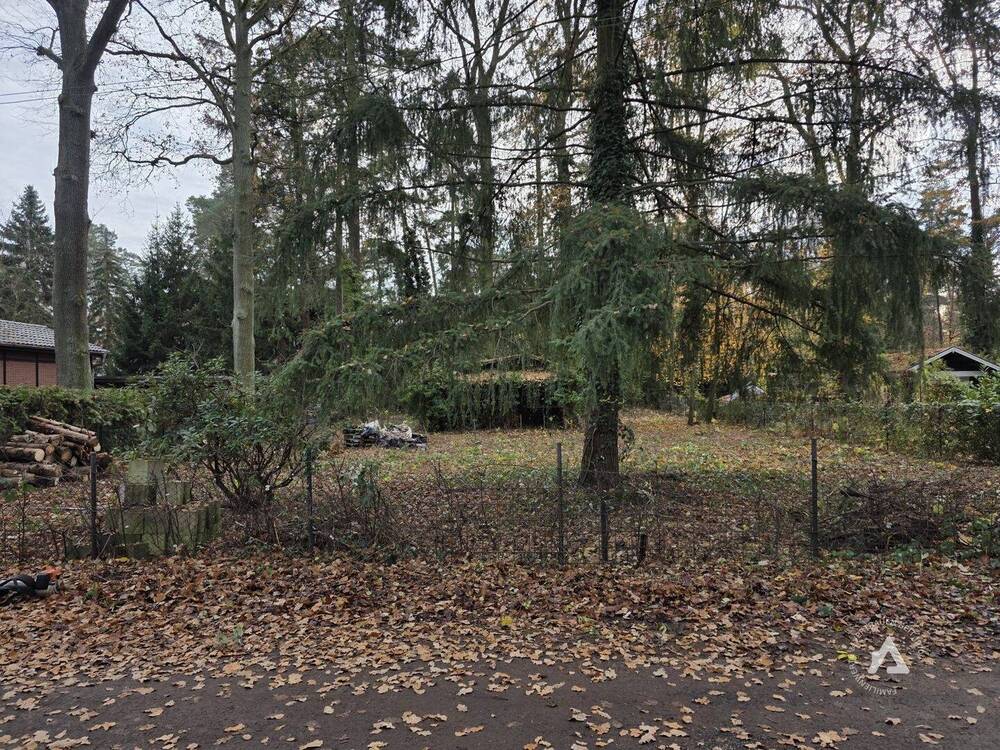 Thumbnail-Freies Grundstück in der Nähe von Berlin zum selber bebauen oder einfach zum anlegen!