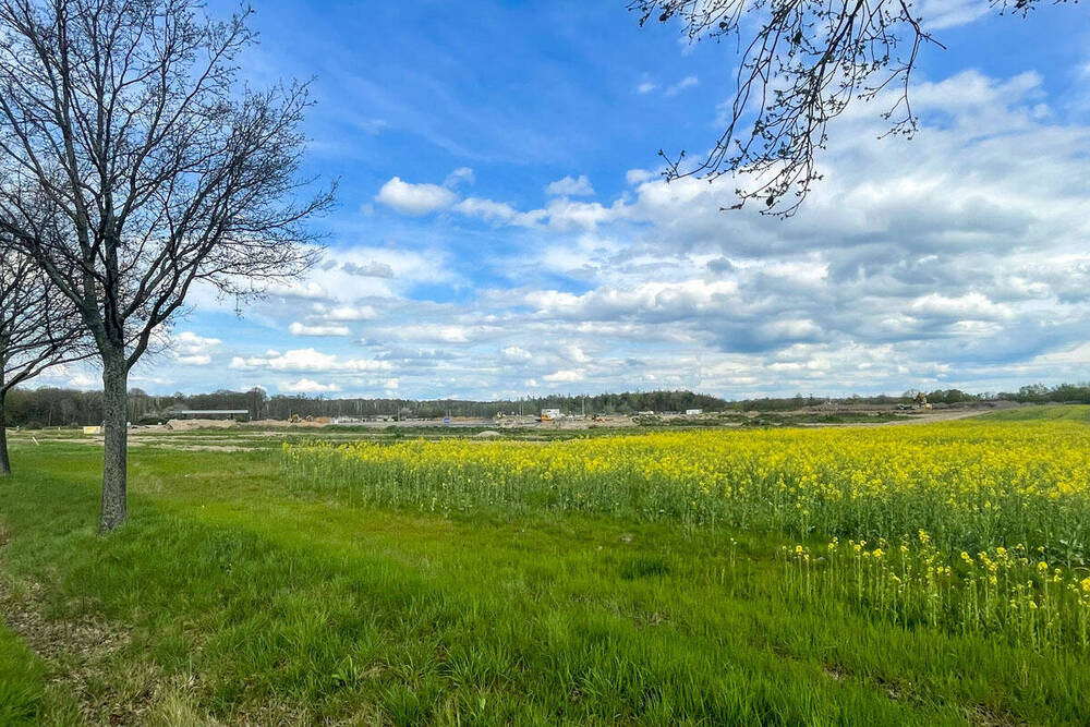 Blick von B107