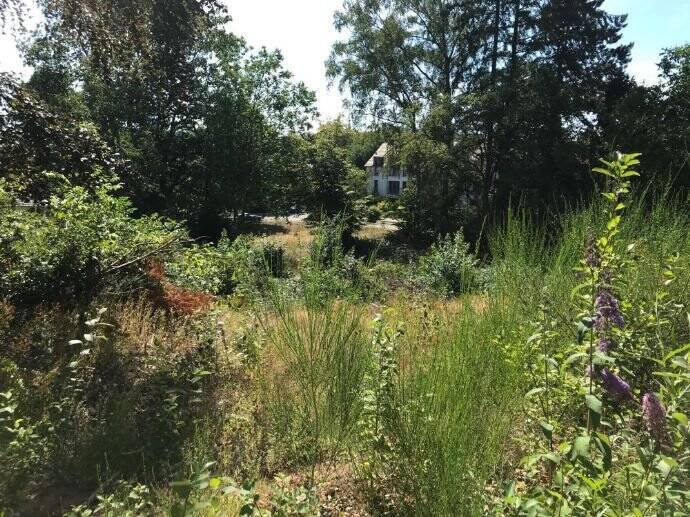 Thumbnail-Baugrundstück in bevorzugter Wohnlage von Homburg