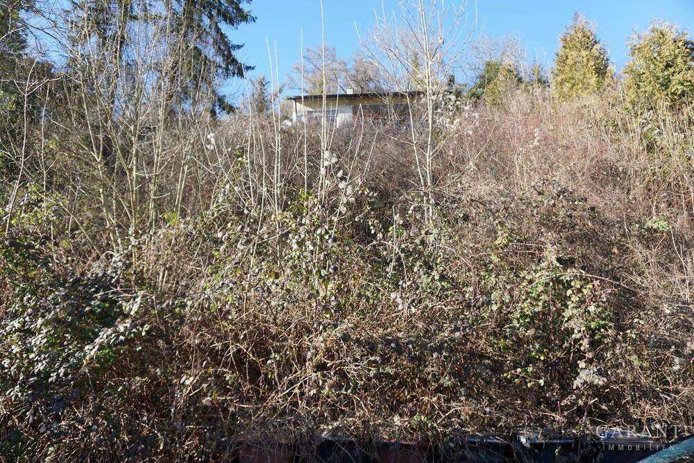 Thumbnail-Träumen Sie nicht länger von Ihrem Traumhaus - bauen Sie es jetzt in Horb am Neckar!