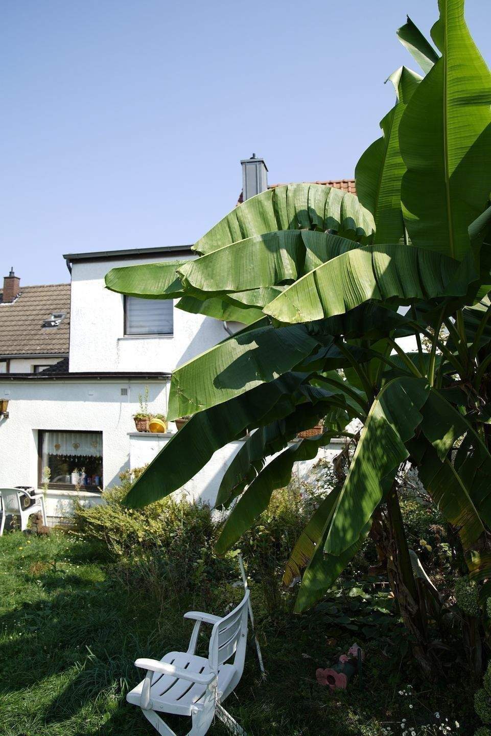 Thumbnail-Ein-Zweifamilienhaus nahe der Urdenbacher Kämpe