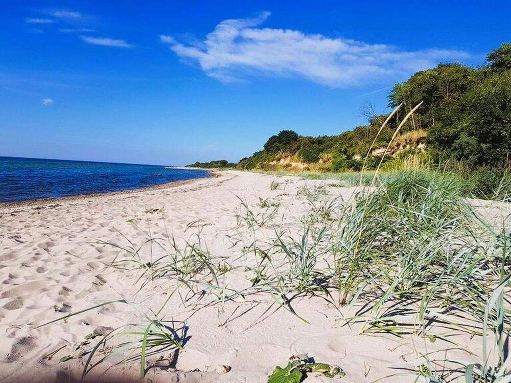 Thumbnail-Mee(h)r . Haus . Land . Wald!