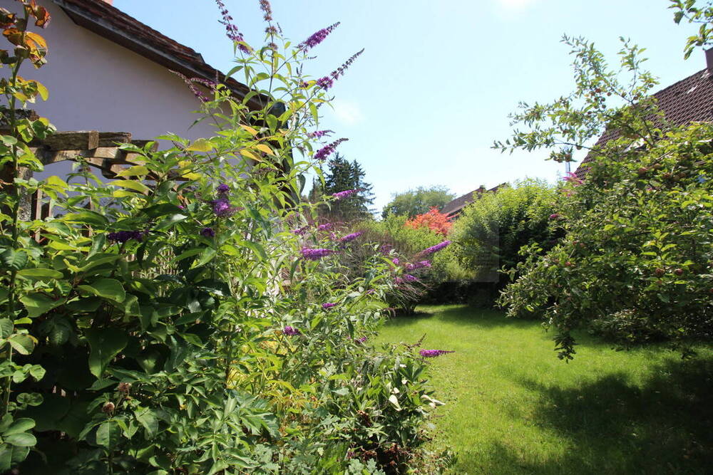 Gartenparadies