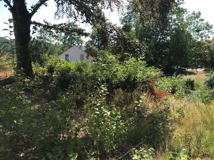 Thumbnail-Teilbares Baugrundstück in bevorzugter Wohnlage von Homburg