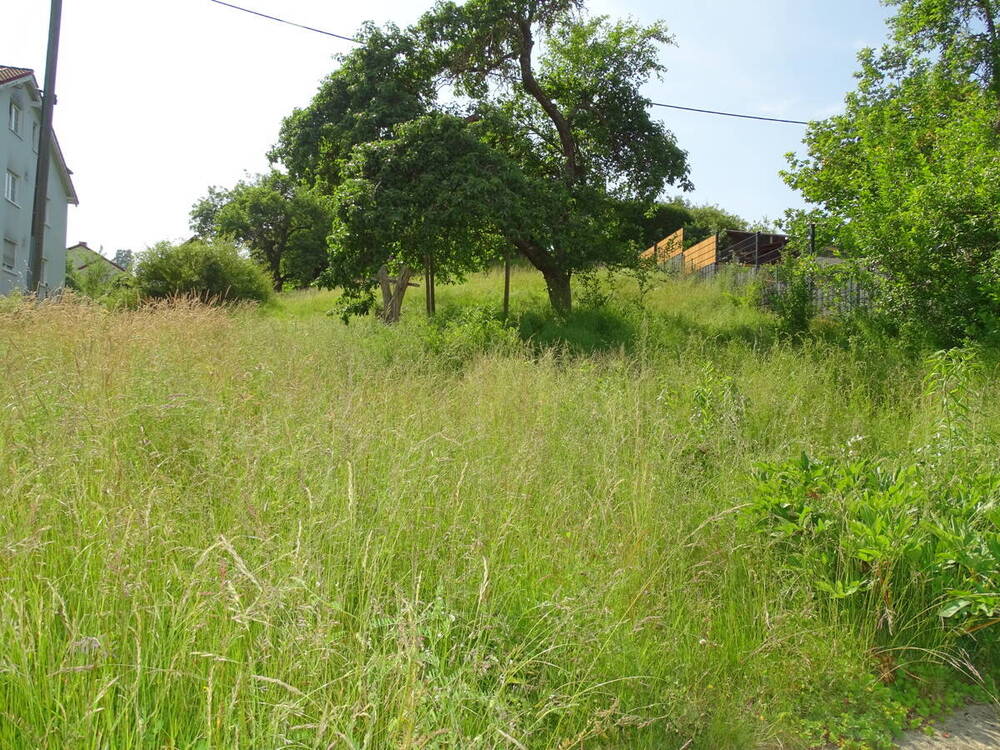 Thumbnail-Baugrundstück zu verkaufen in Weilrod - Idyllisch gelegen im Taunus!