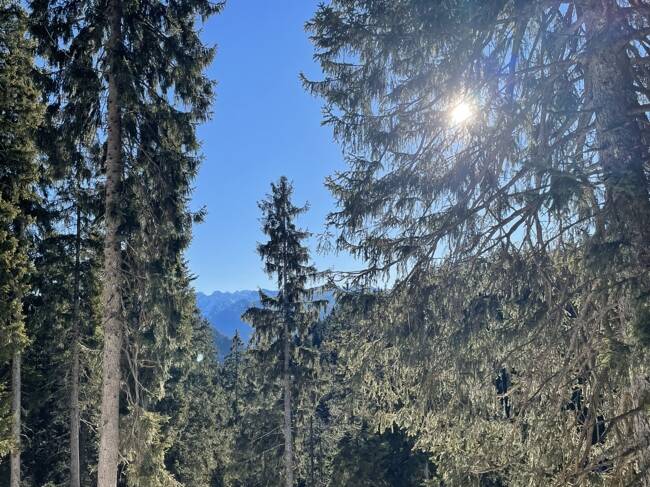  hoch oben