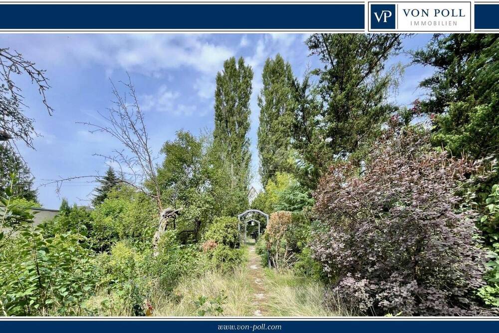 Blick_zur_Straße VP