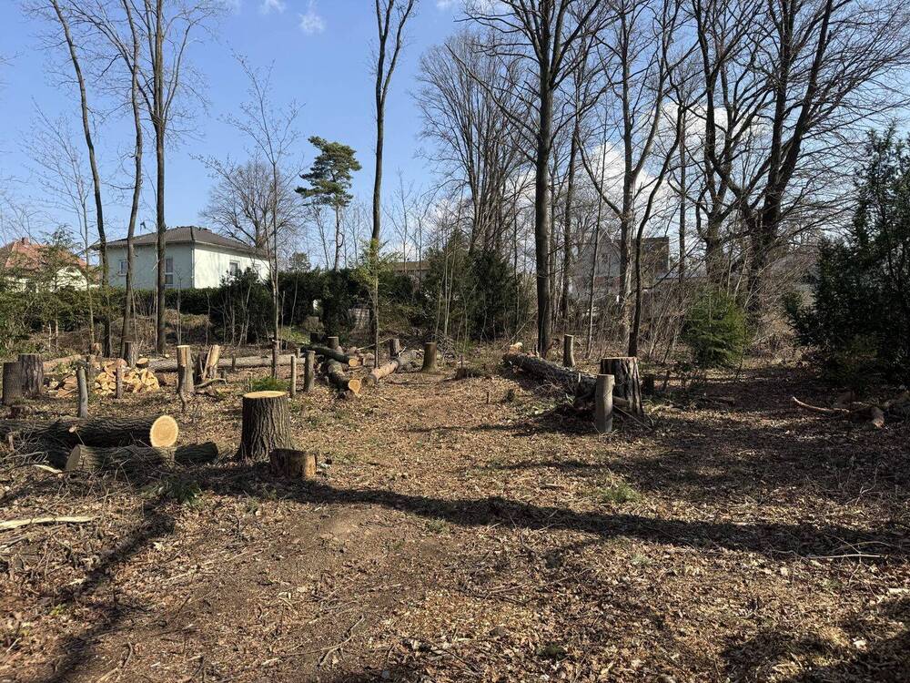 Thumbnail-Attraktives Baugrundstück in Moritzburg im OT Friedewald