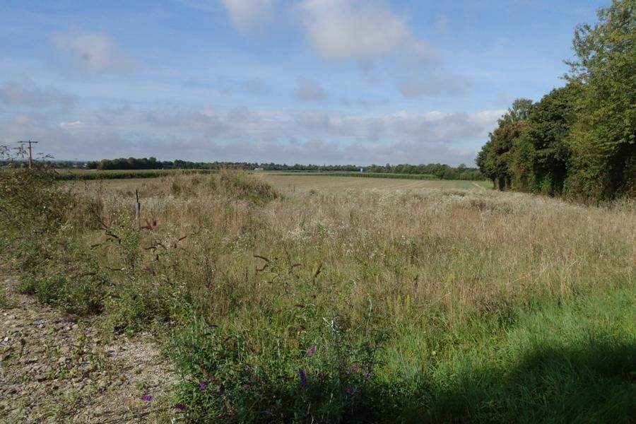 Thumbnail-Grundstück mit genehmigten Plan für RH 3er und ein DH