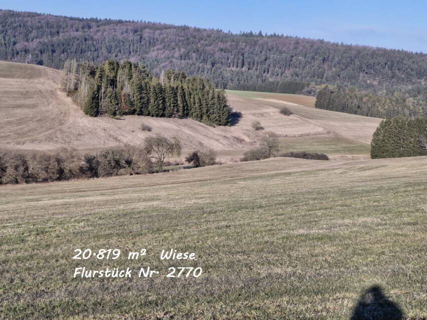 Acker /Wiese