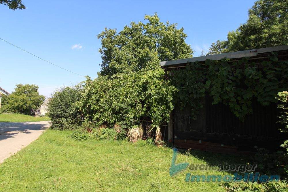 Thumbnail-***Grundstück mit Obstgarten und Schuppen Nähe LandauIsar***