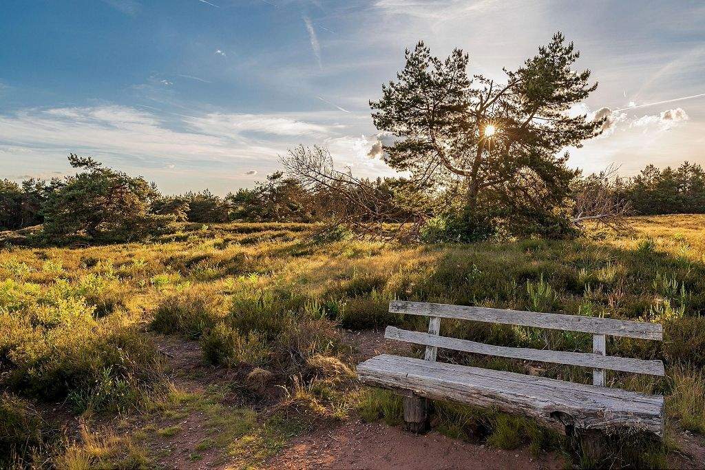 Thumbnail-Highlightwohnung an der Heide-2 Balkone, 1 Terrasse & eigener Garten!