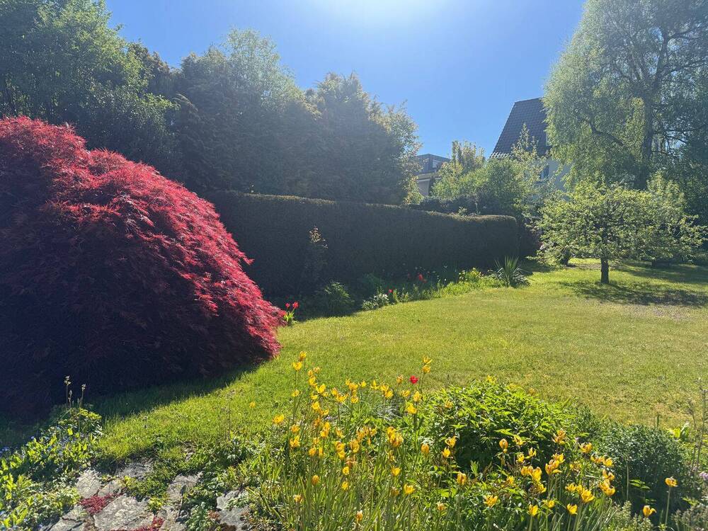 Thumbnail-Exklusives Wohnen: Sonnendurchflutetes Haus mit idyllischem Gartenparadies in traumhafter Lage