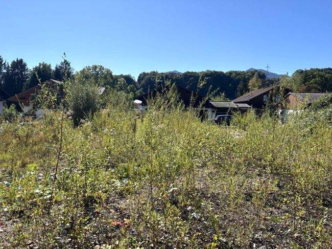 Thumbnail-Großweil: Ruhe - Sonne - Bergblick: Baugrundstück für Ihre Doppelhaushälfte