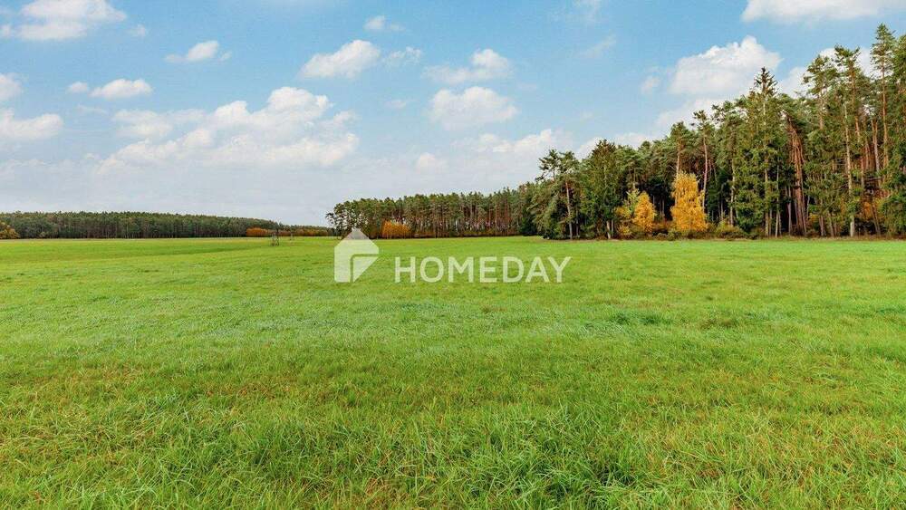 Thumbnail-8,79 ha: Großflächiges Areal für Landwirtschaft, Forst und Neugestaltung