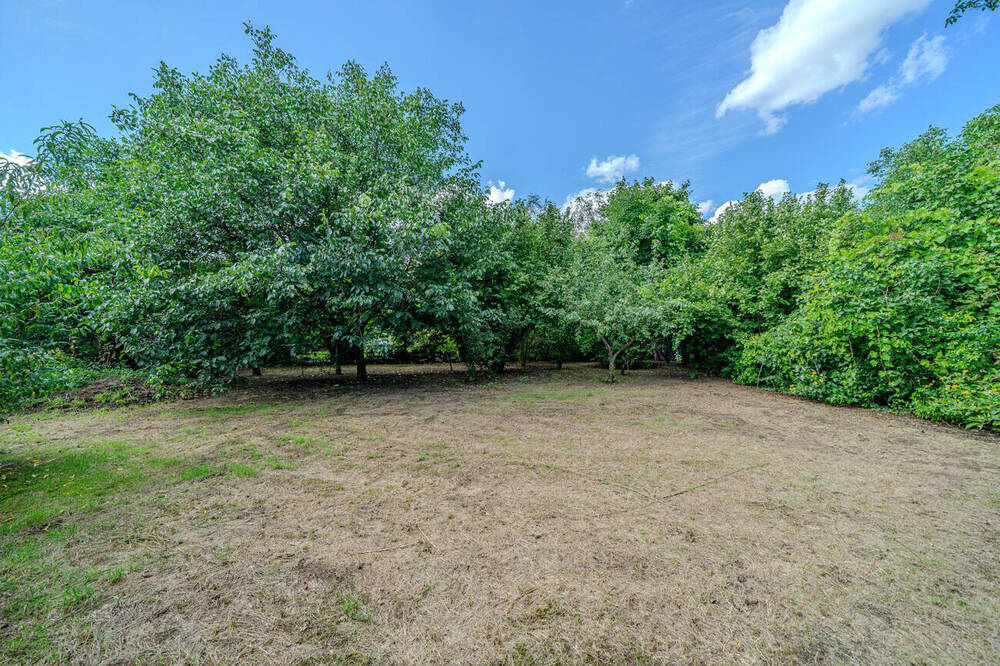 Thumbnail-Sonniges Baugrundstück in zweiter Reihe - Wohnen nahe Wald und See