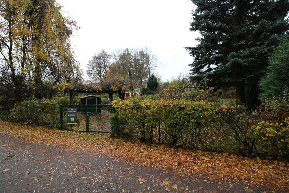 Thumbnail-Attraktives Baugrundstück mit Option auf Teilung im beliebten Panketal (Neu-Buch)