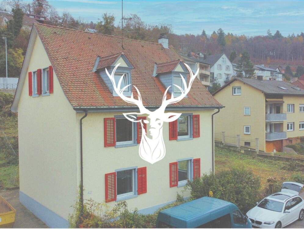 Thumbnail-Charmantes 3-Familienhaus in Top Lage von Waldshut zu verkaufen