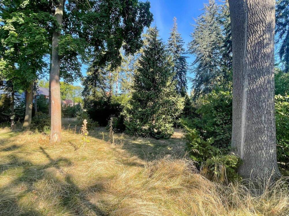 Thumbnail-Großes Baugrundstück in Waldsteinberg!