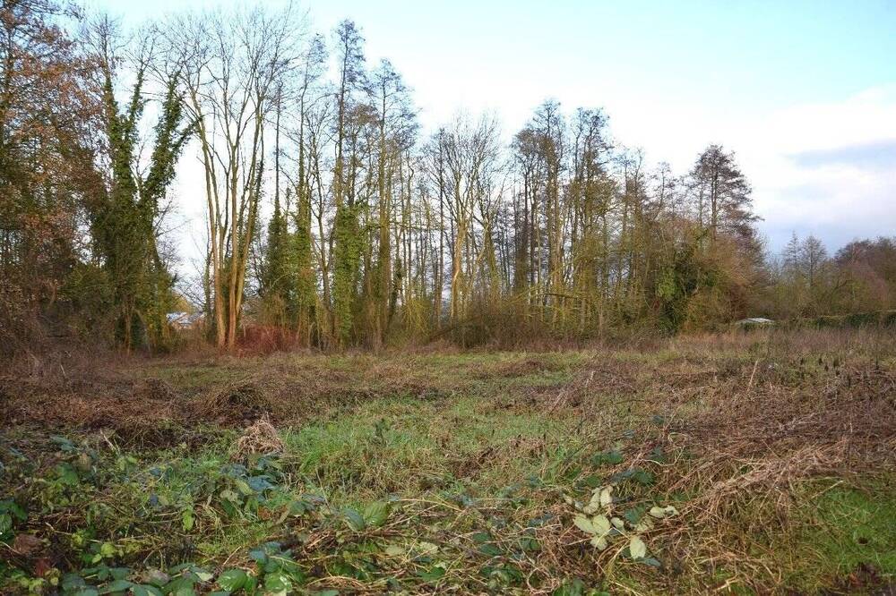 Thumbnail-Villengrundstück in attraktiver Lage von Nettetal-Breyell - idyllisch am Waldrand gelegen!