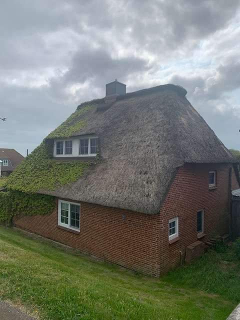 Thumbnail-Halbinsel Nordstrand - Romantisches Reetdachhaus direkt am Deich: IHR NEUES FERIENHAUS !
