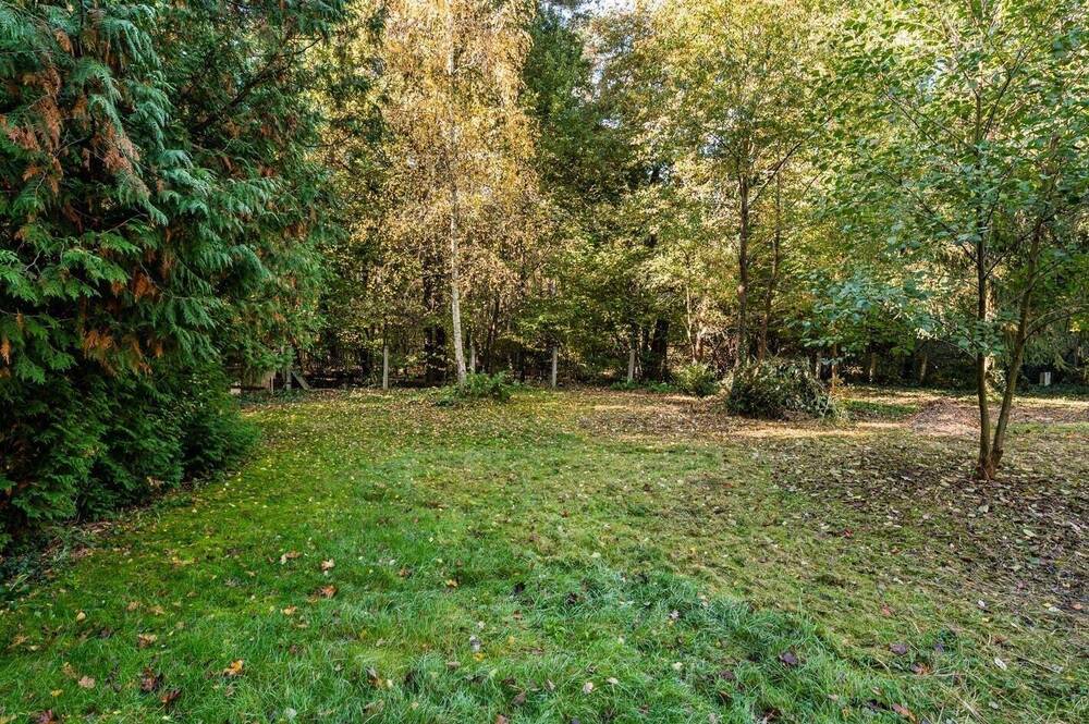 Thumbnail-Idyllisches Baugrundstück mit Baumbestand unweit der Dahme