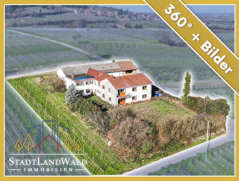 Thumbnail-Leben über dem Rebenmeer - Ehemaliges Weingut in Alleinlage und Blick in die Rheinebene