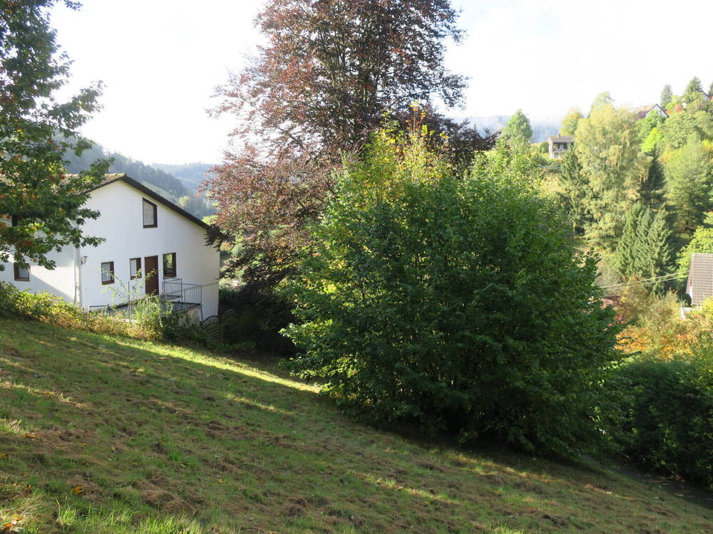 Thumbnail-Über den Dächern von Alpirsbach