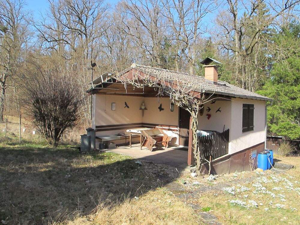 Thumbnail-Naherholung am Waldrand, Freizeit, Hobby, Natur - am Rande des Siebenmühlentales