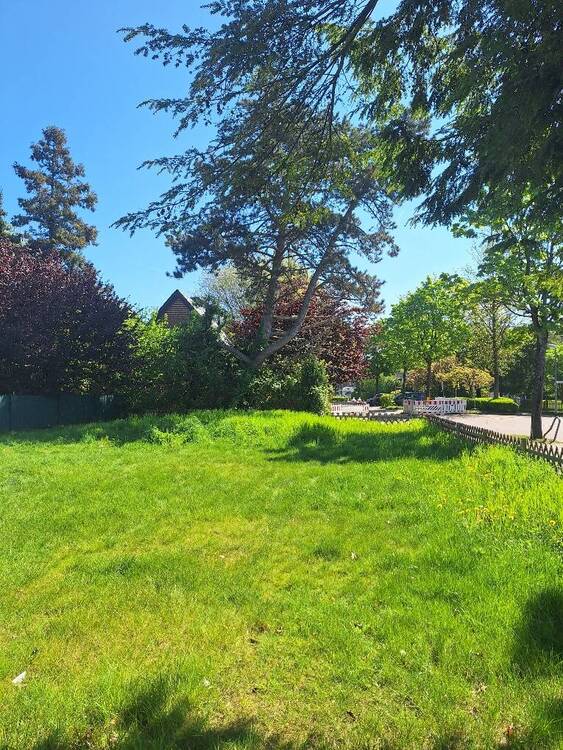 Thumbnail-Renovierungsbedürftige Doppelhaushälfte im Südviertel Nähe Düesbergpark, ideal für Handwerker