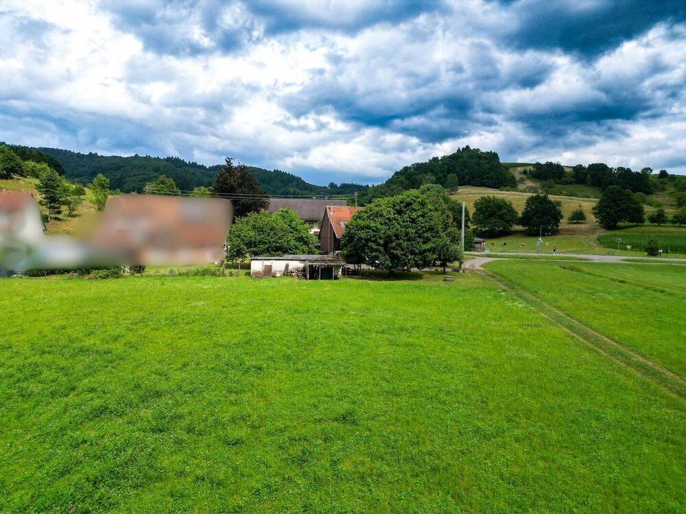 Thumbnail-RESERVIERT-Großzügiges Baugrundstück mit Wiesengrundstücken & Wohnhaus in idylischer Lage von Sexau