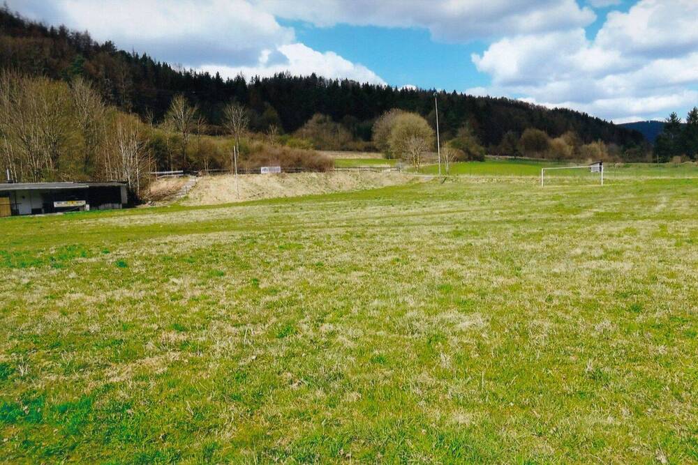 Thumbnail-Wiesengrundstück in 96528 Frankenblick, OT Grümpen