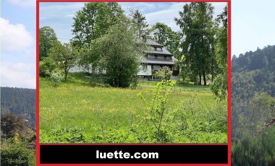 Thumbnail-EFH - Architektenhaus, hochw. Innengestaltung u. Ausführung, Ihre neue Wohlfühloase Büro, Studio, Nähe Schluchsee ca....