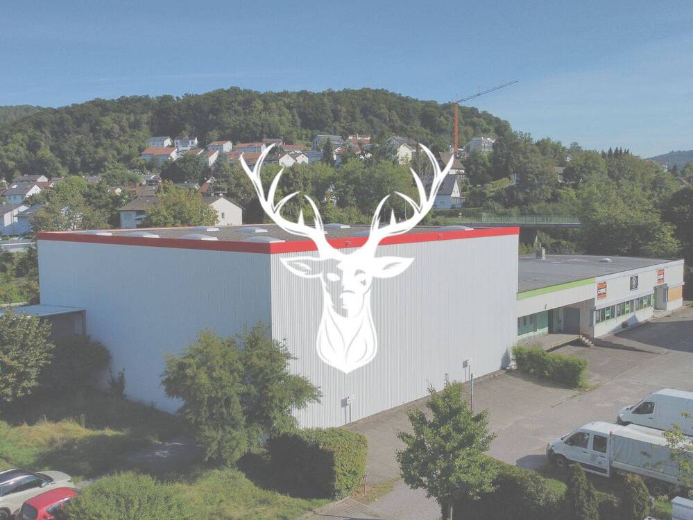 Thumbnail-Flexible Lager- und Werkflächen in zentraler Lage von Tiengen zu vermieten